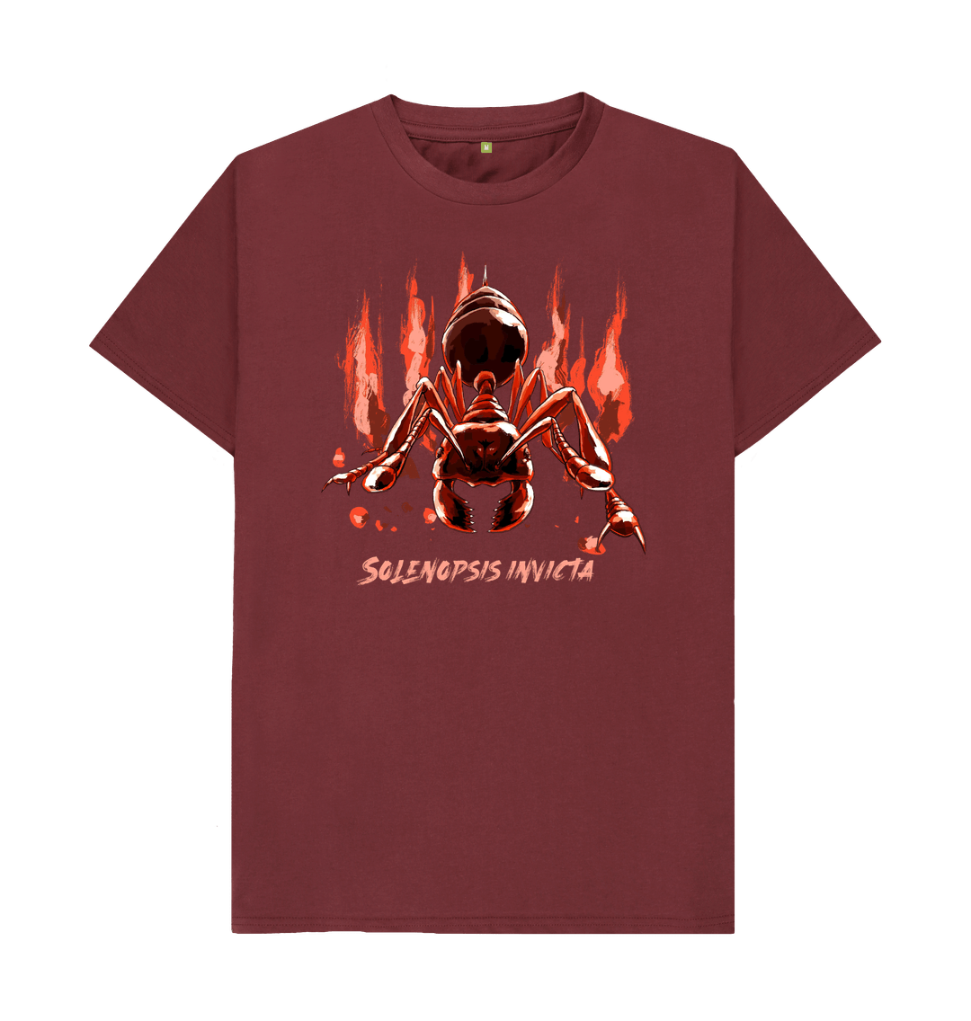 Fire Ant Solenopsis Invicta Fire ant solenopsis invicta