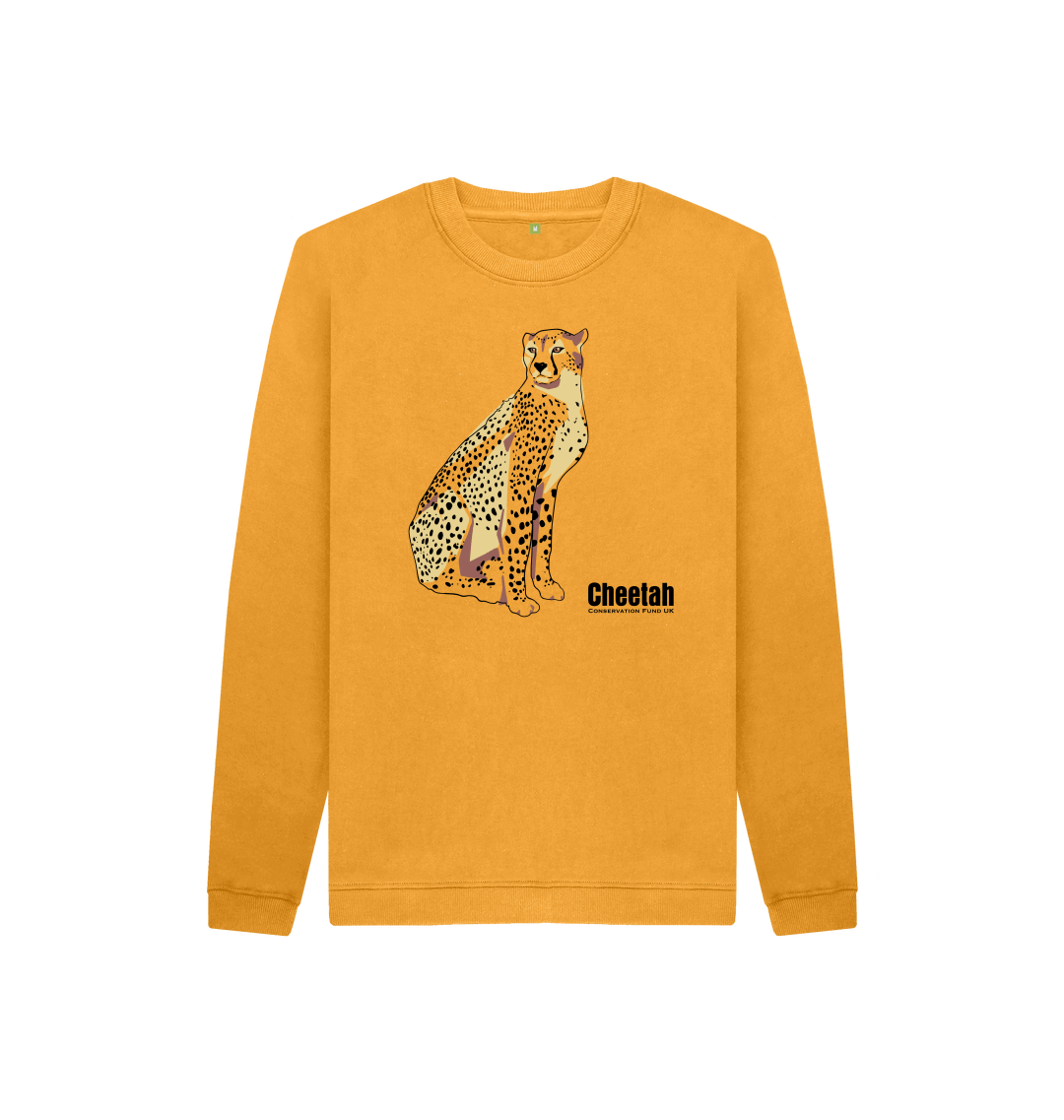 Cheetah glance colour pop kids sweater 