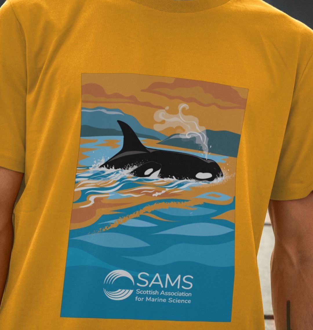 Orca shop whale shirt