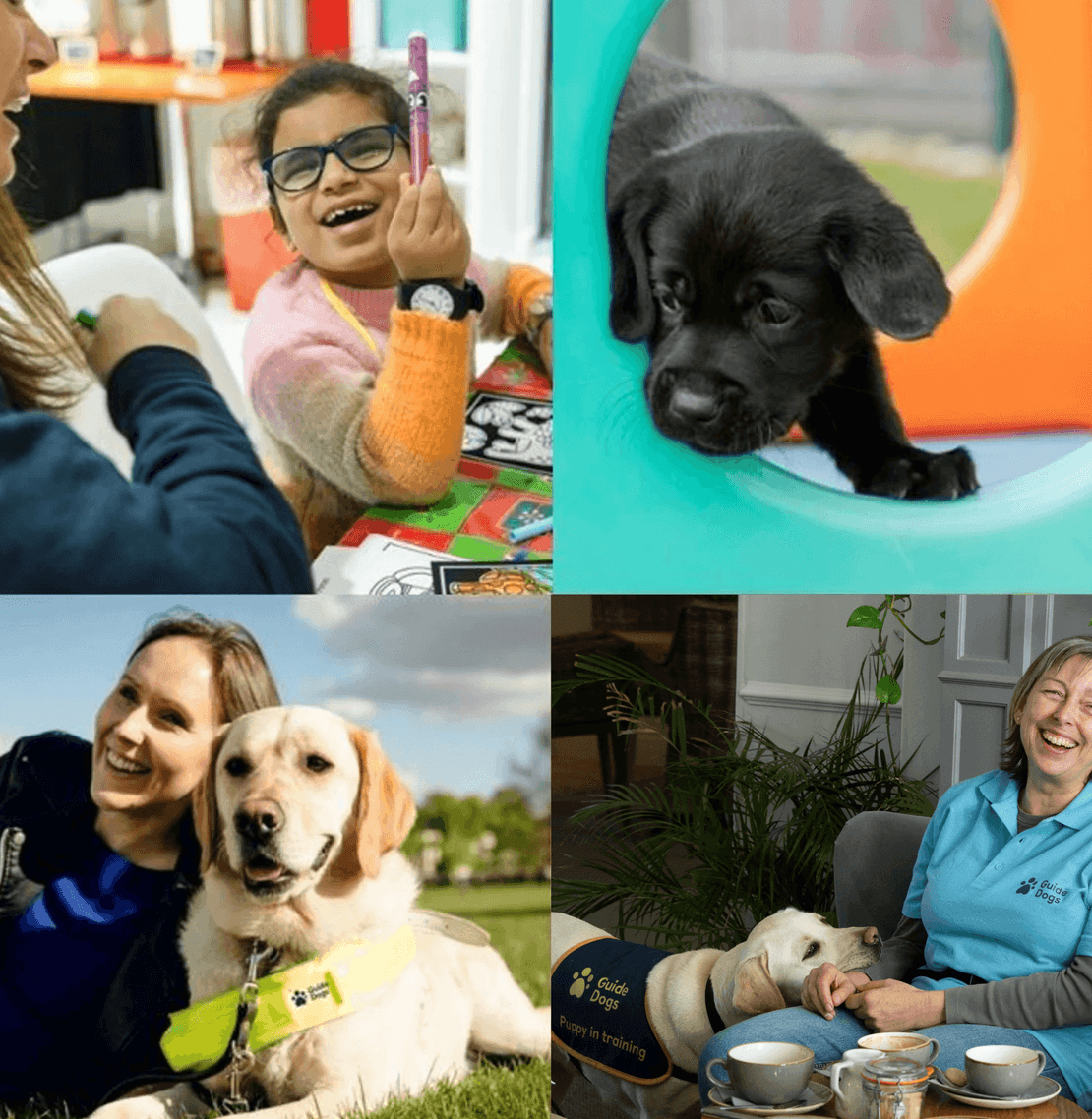 Dog Themed Merchandise Guide Dogs Licensed Clothing