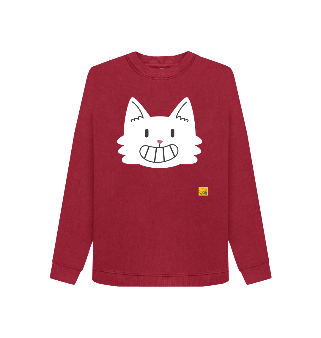 Felix the clearance cat jumper