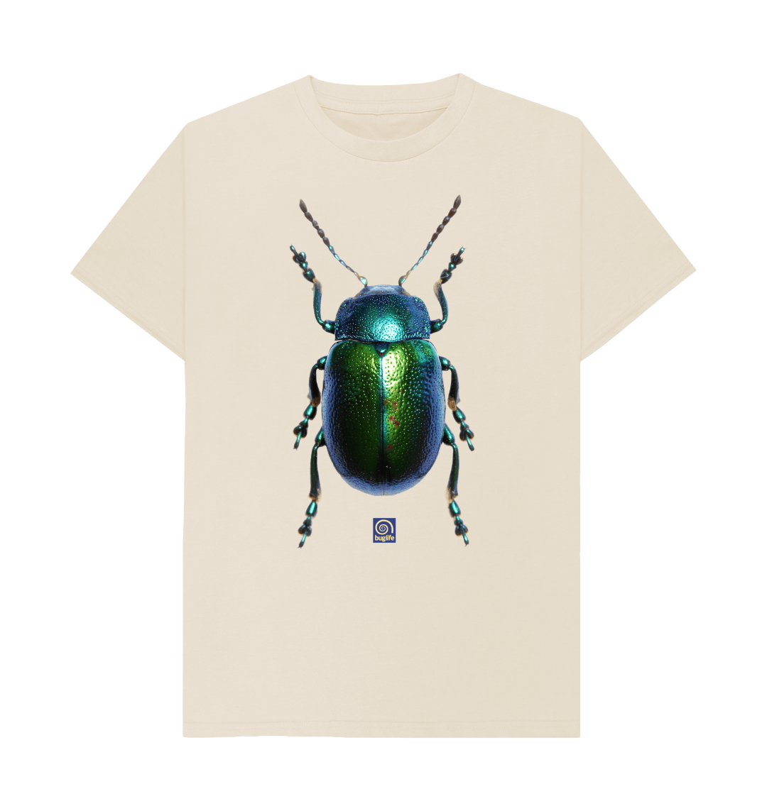 Beetle shirt shop