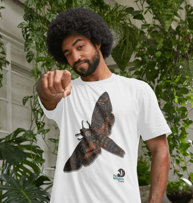Moth T-shirt | The Wildlife Trusts Shop