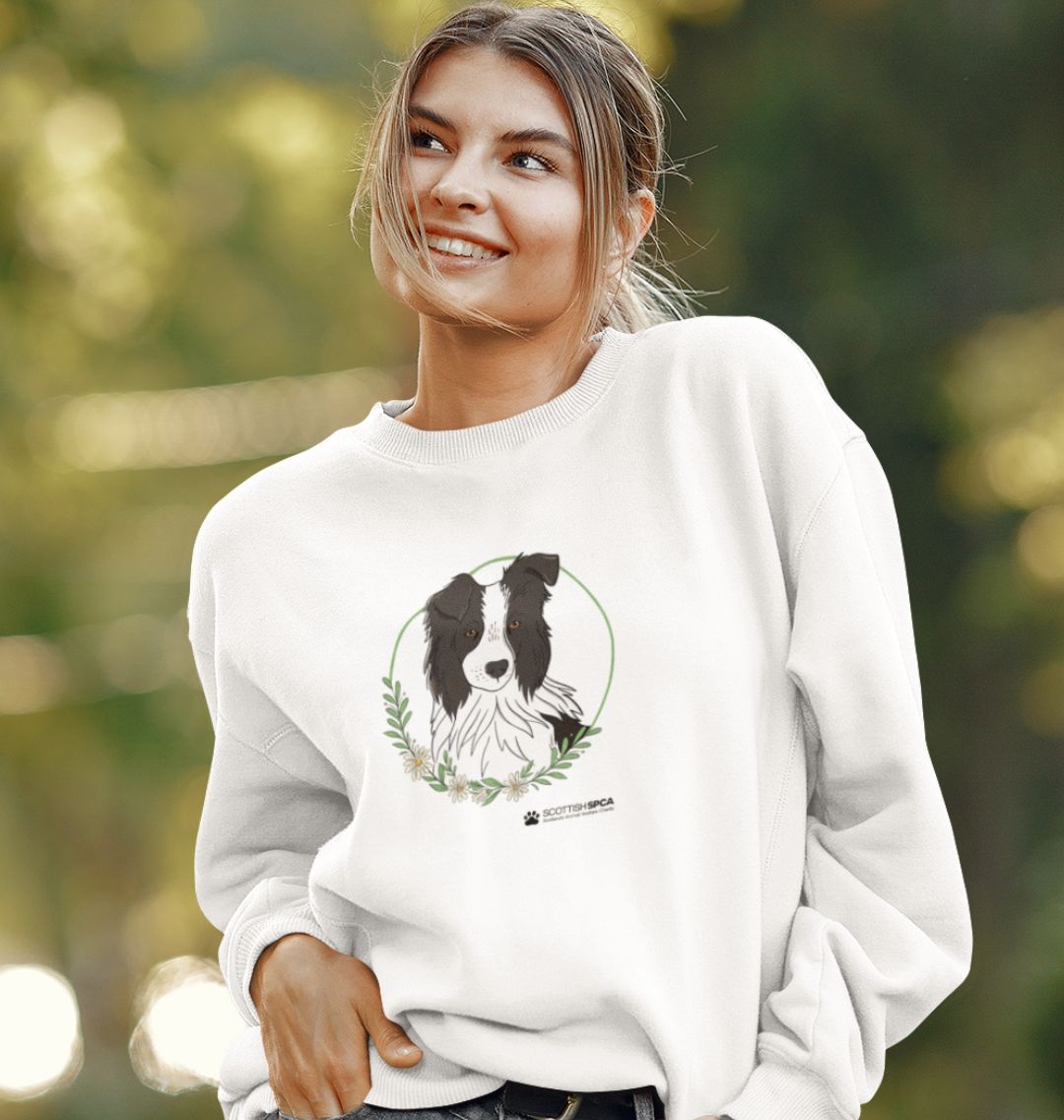 border collie jumper