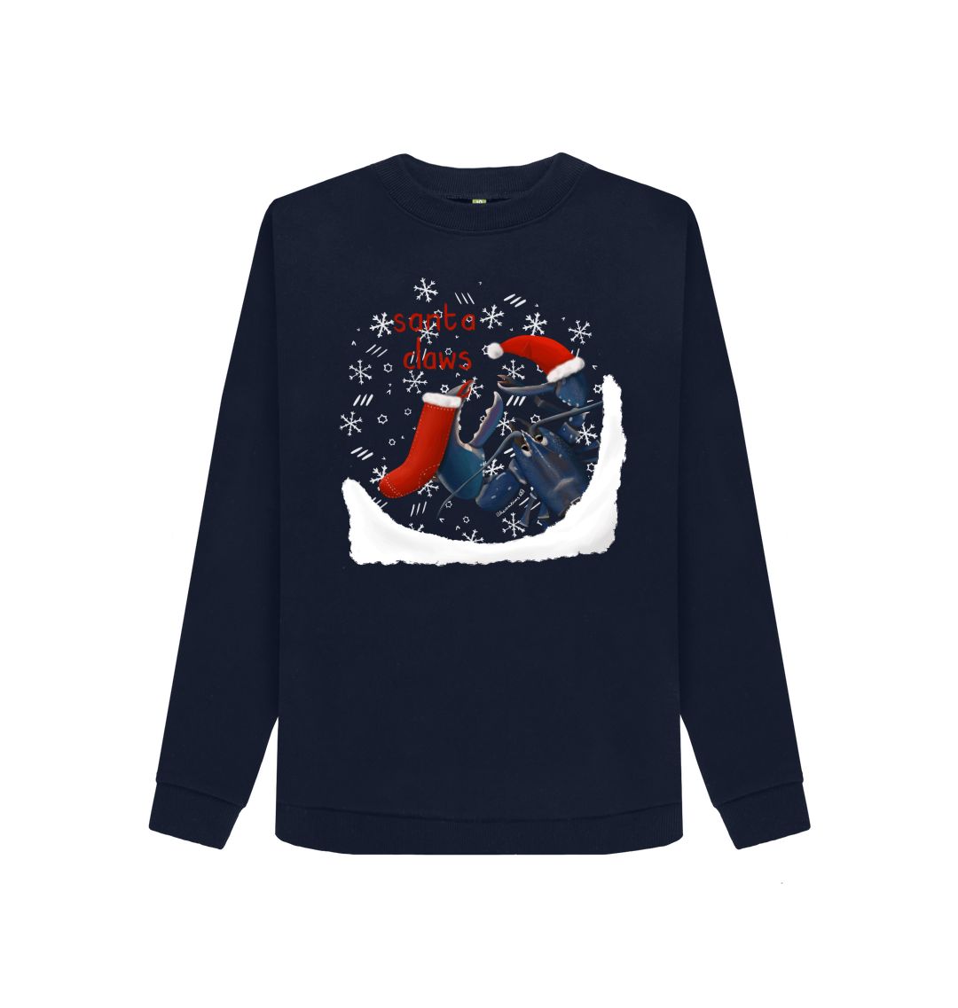 Santa clearance claws jumper