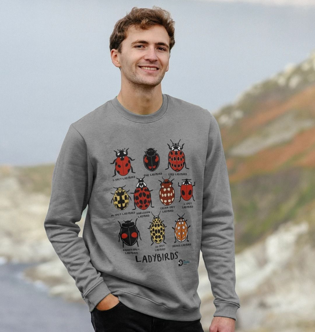 Ladybird jumper sale