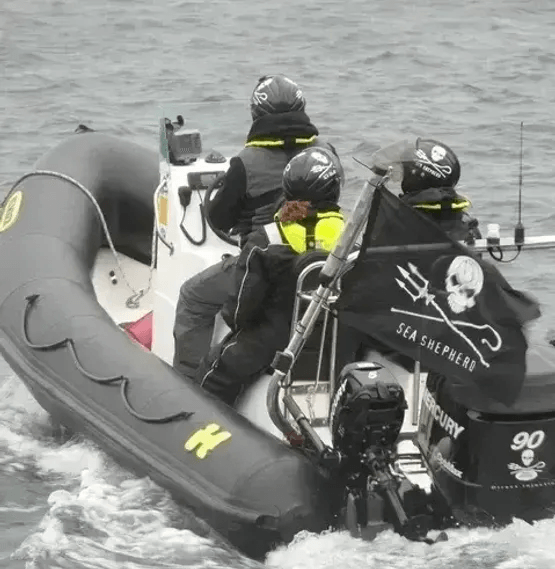 Sea Shepherd Scandinavia