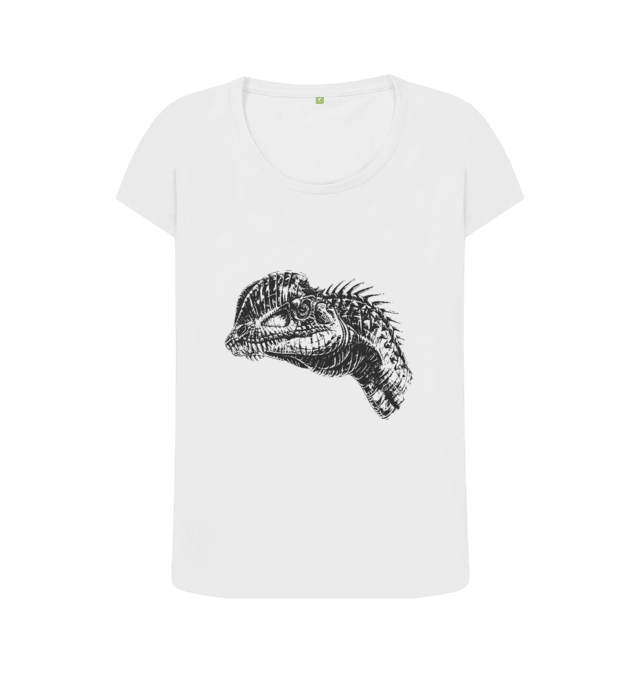 womens dinosaur t shirt