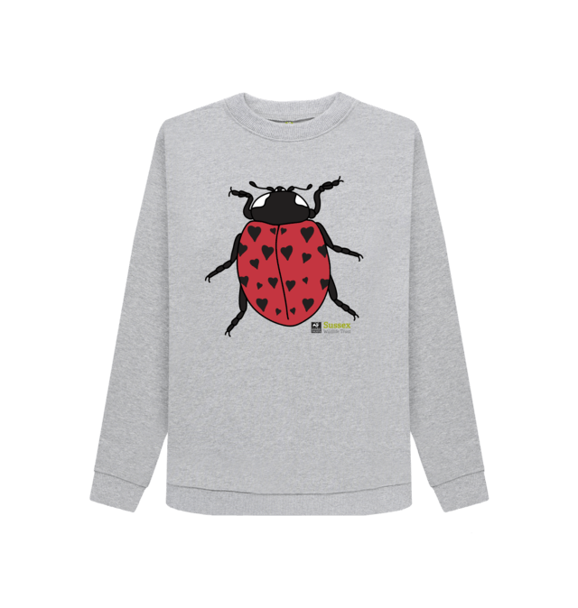 ladybird jumper