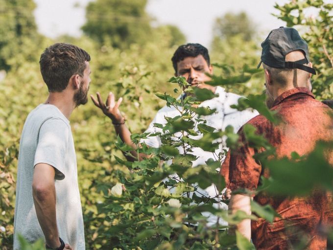 Organic Cotton Vs Bamboo Which is Better?