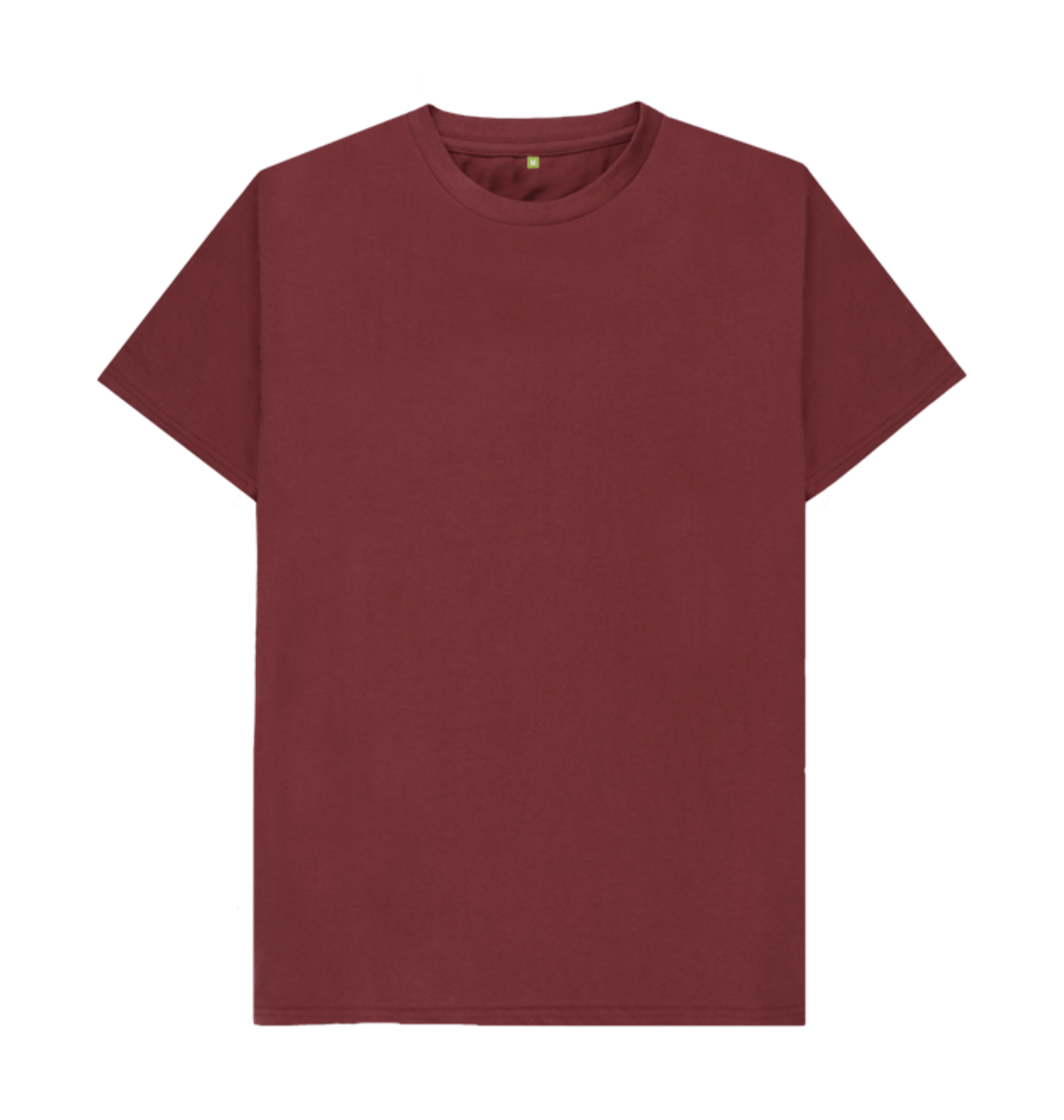 Plain 100 Organic Cotton Vegan Men's Tee