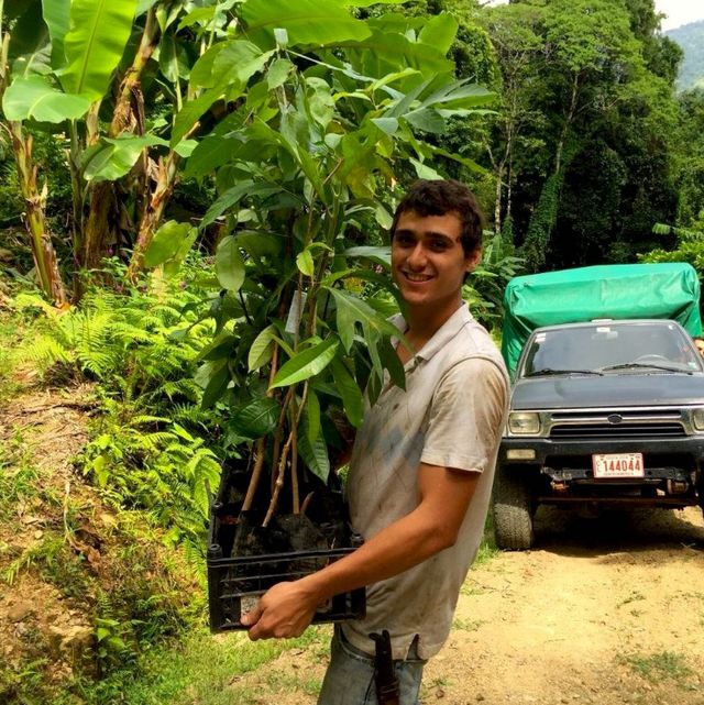 Tree planting: Get involved with Buy One Get One Tree
