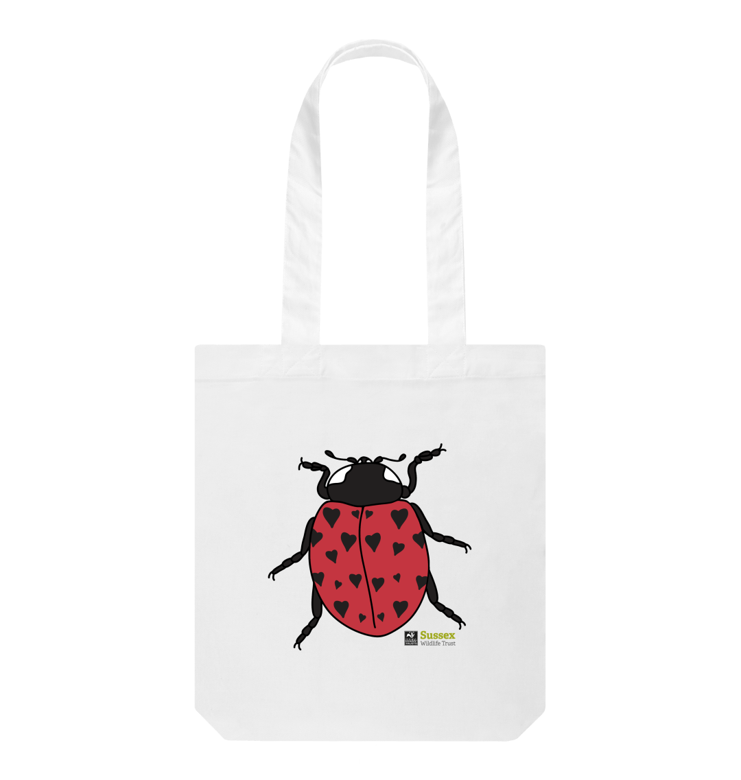 Lady bird bag sale