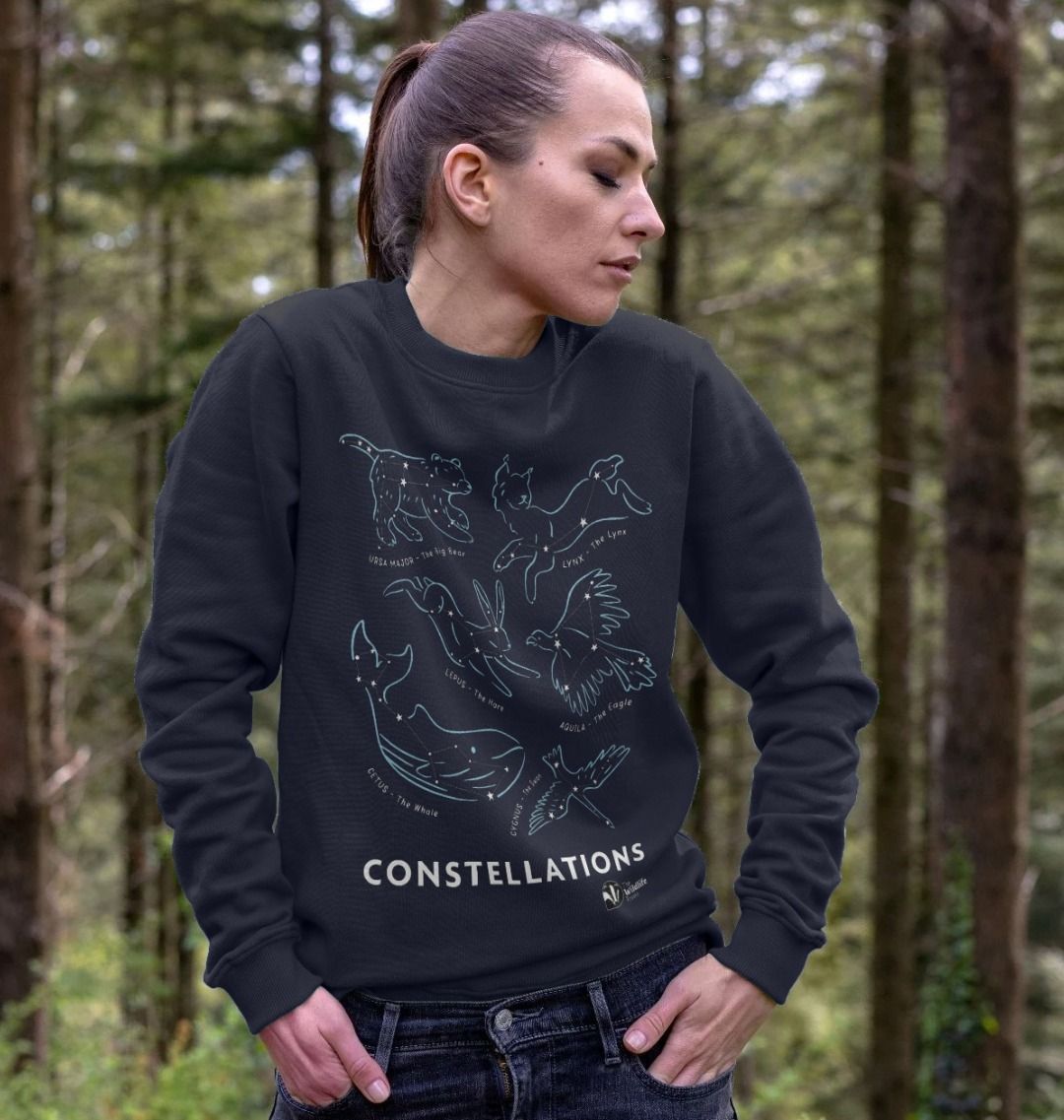 Constellation sweater 2024