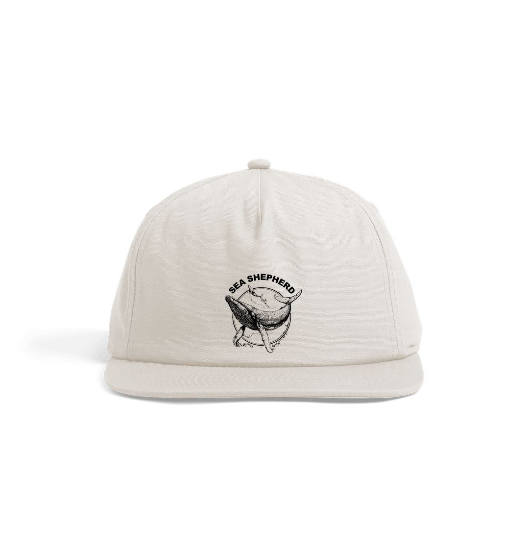 Sea shepherd baseball cap online