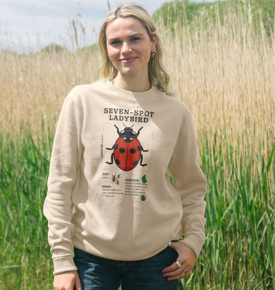 Ladybird jumper store