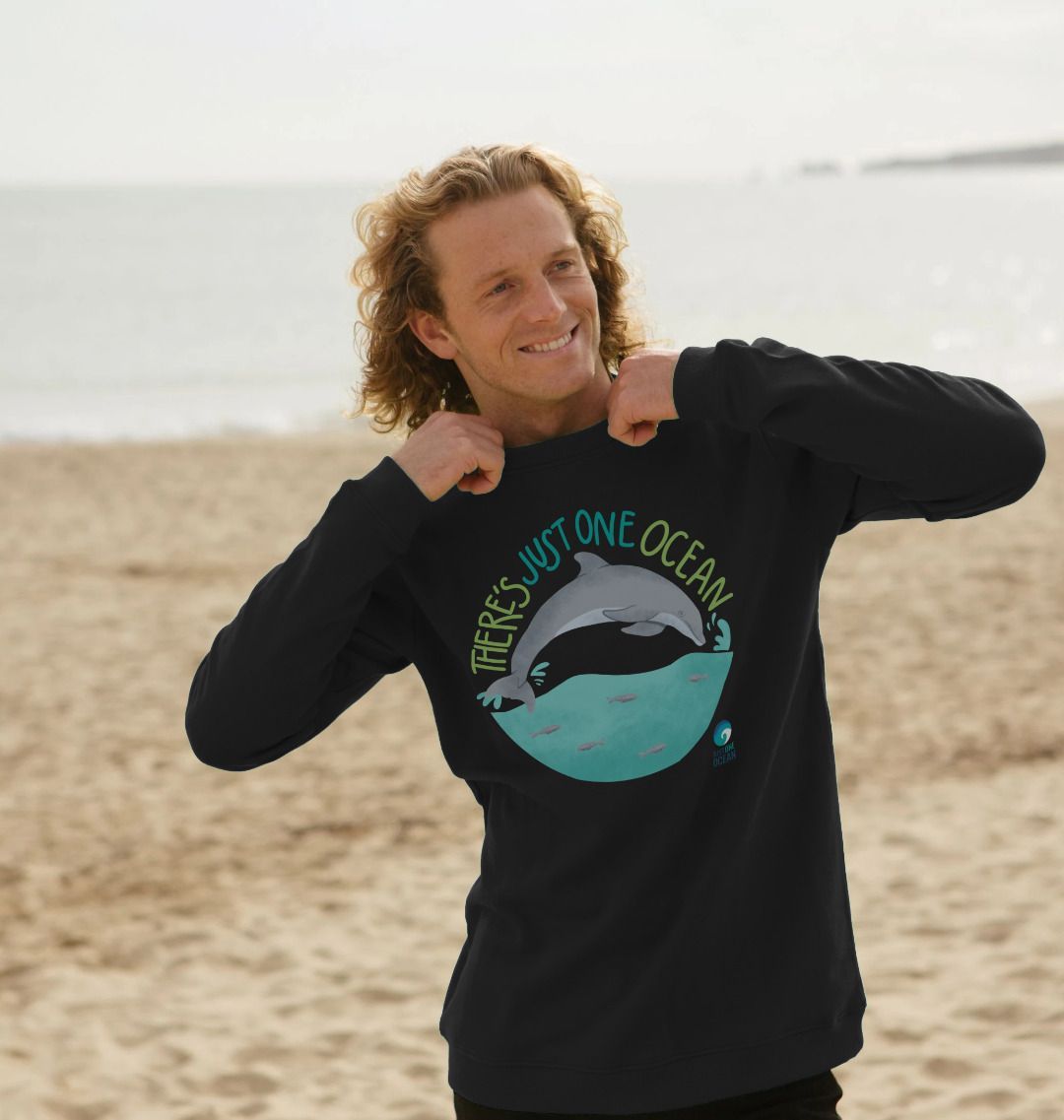 Dolphin sweater new arrivals