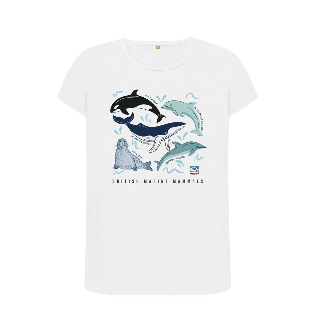 British Marine Mammals Top