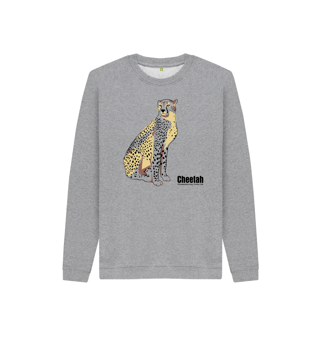 Cheetah glance colour pop kids sweater 