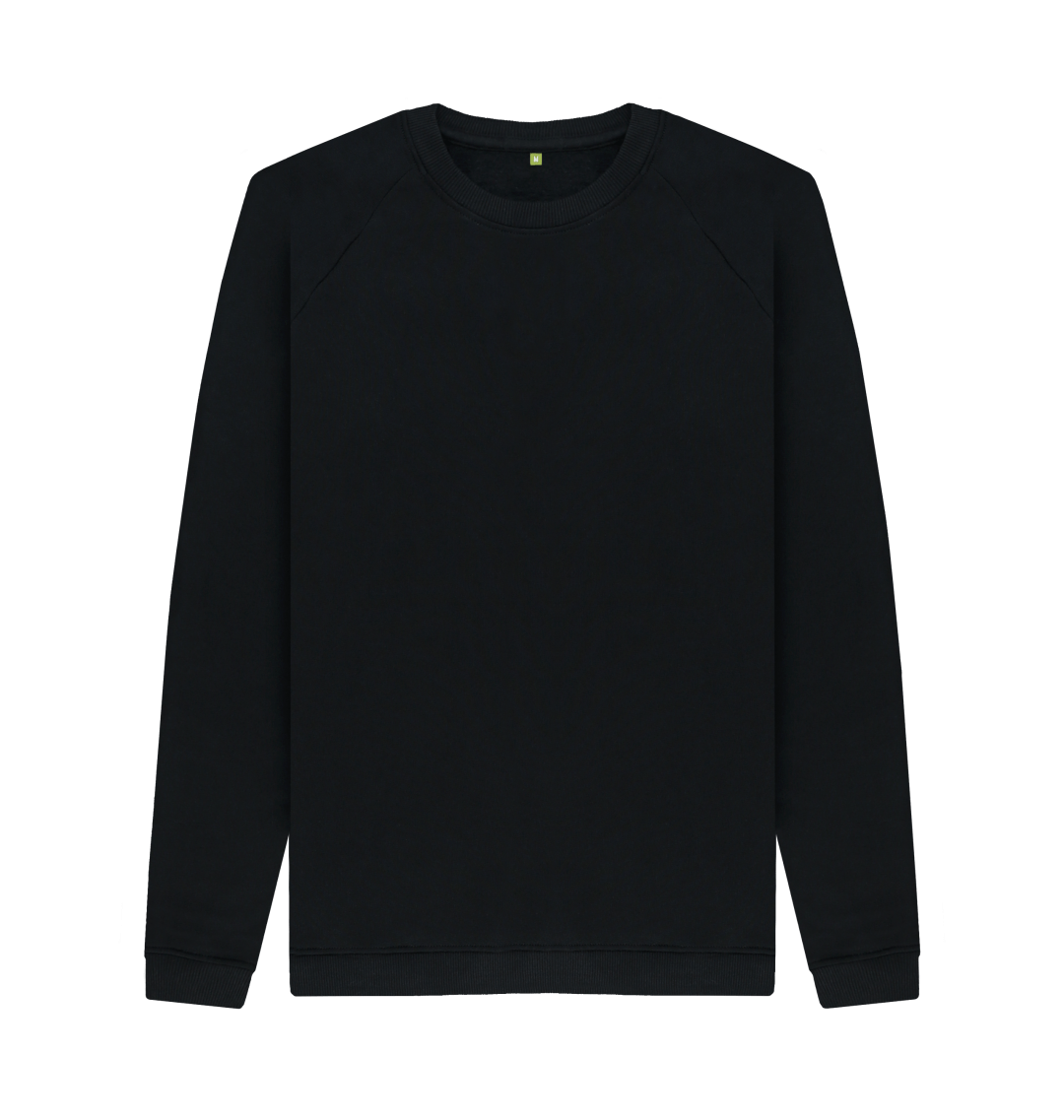 plain crew neck sweater
