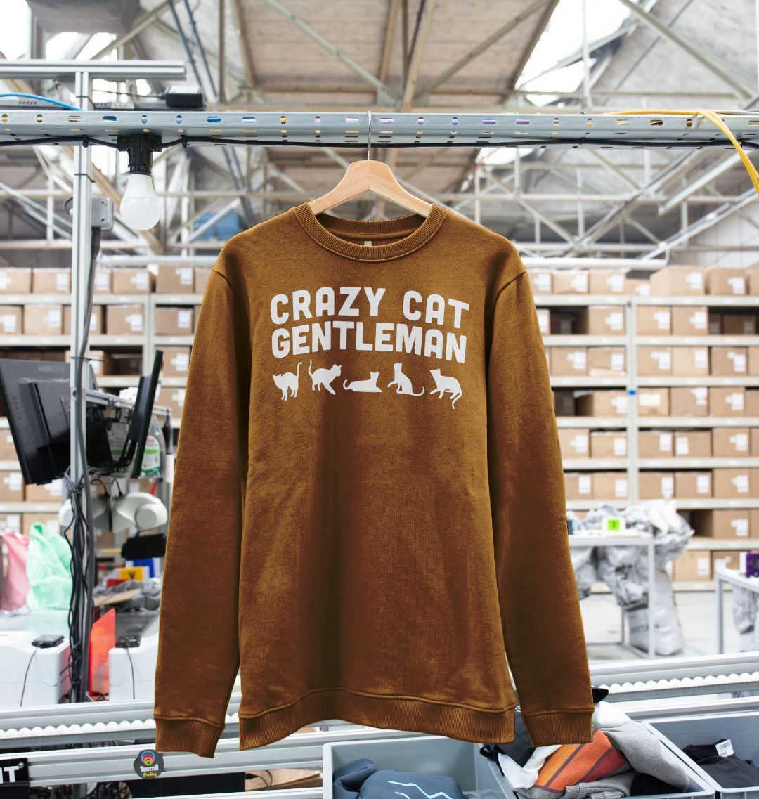 Crazy cat sweater best sale