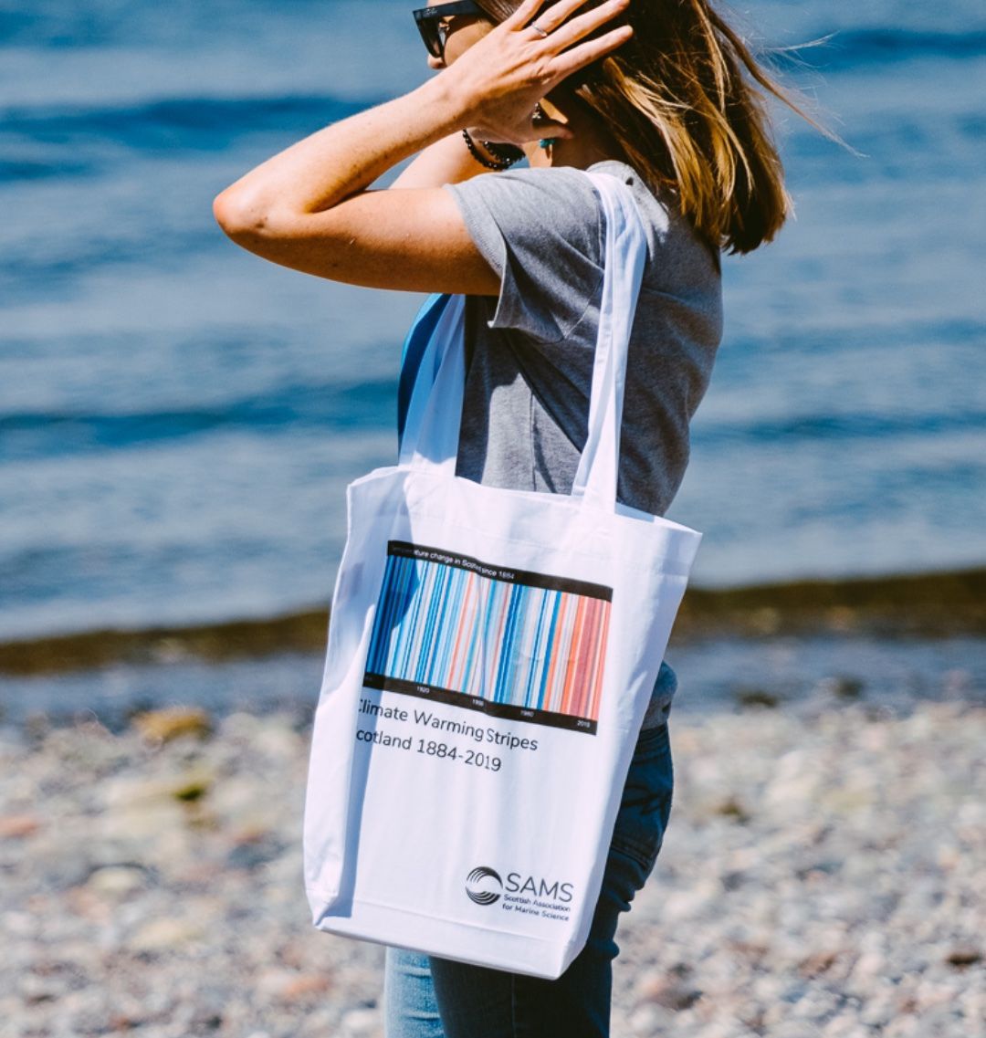 Beach hot sale totes 2019