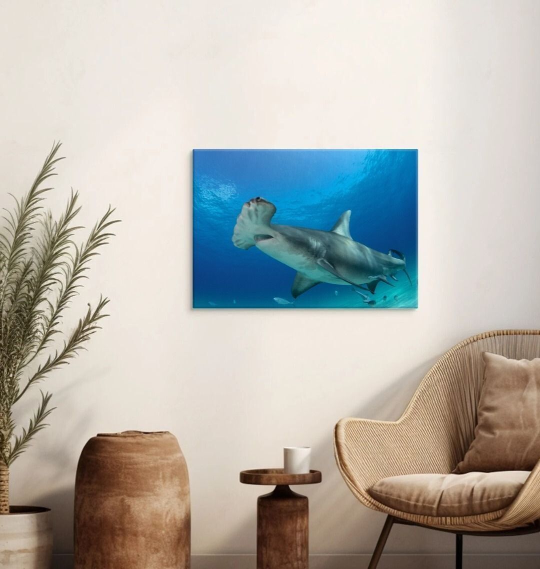 Hammerhead Shark Canvas Print