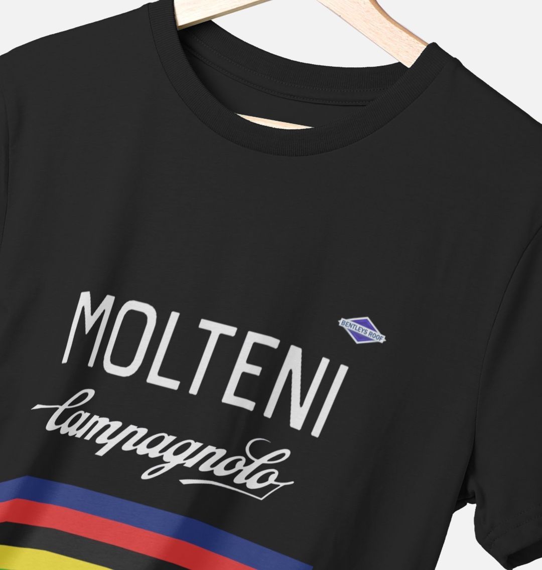 bentleysroof.online