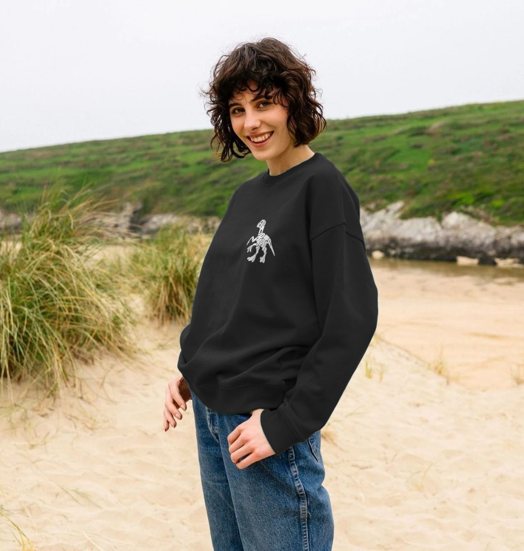 Ladies dinosaur outlet jumper