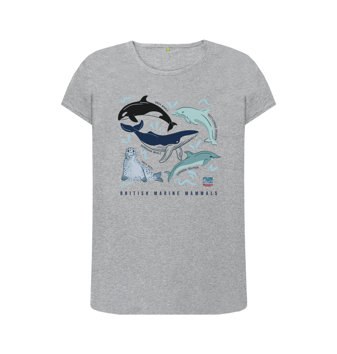 British Marine Mammals Top