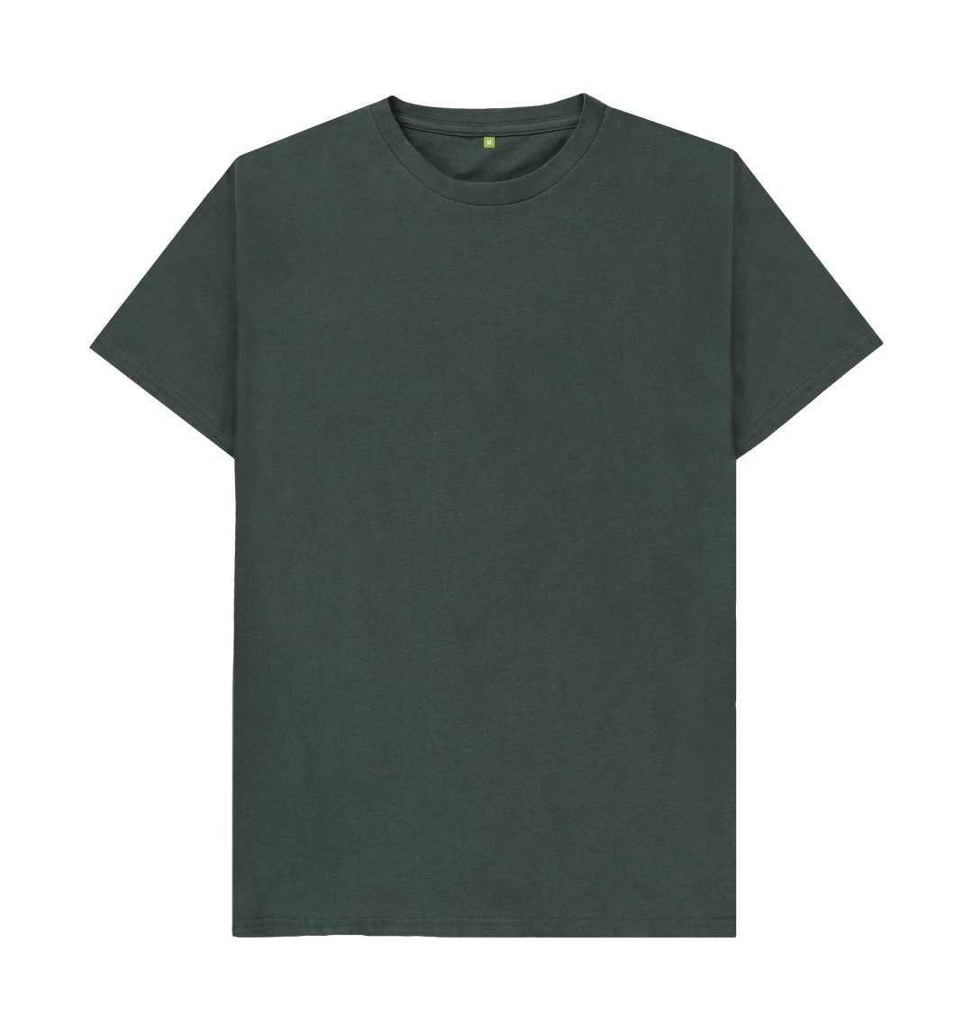 Organic plain t shirts Clearance