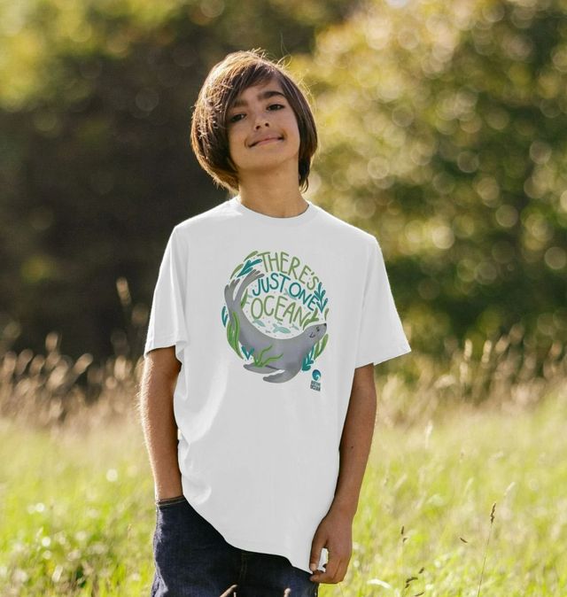 Sea Lion Toddler Tee 3T