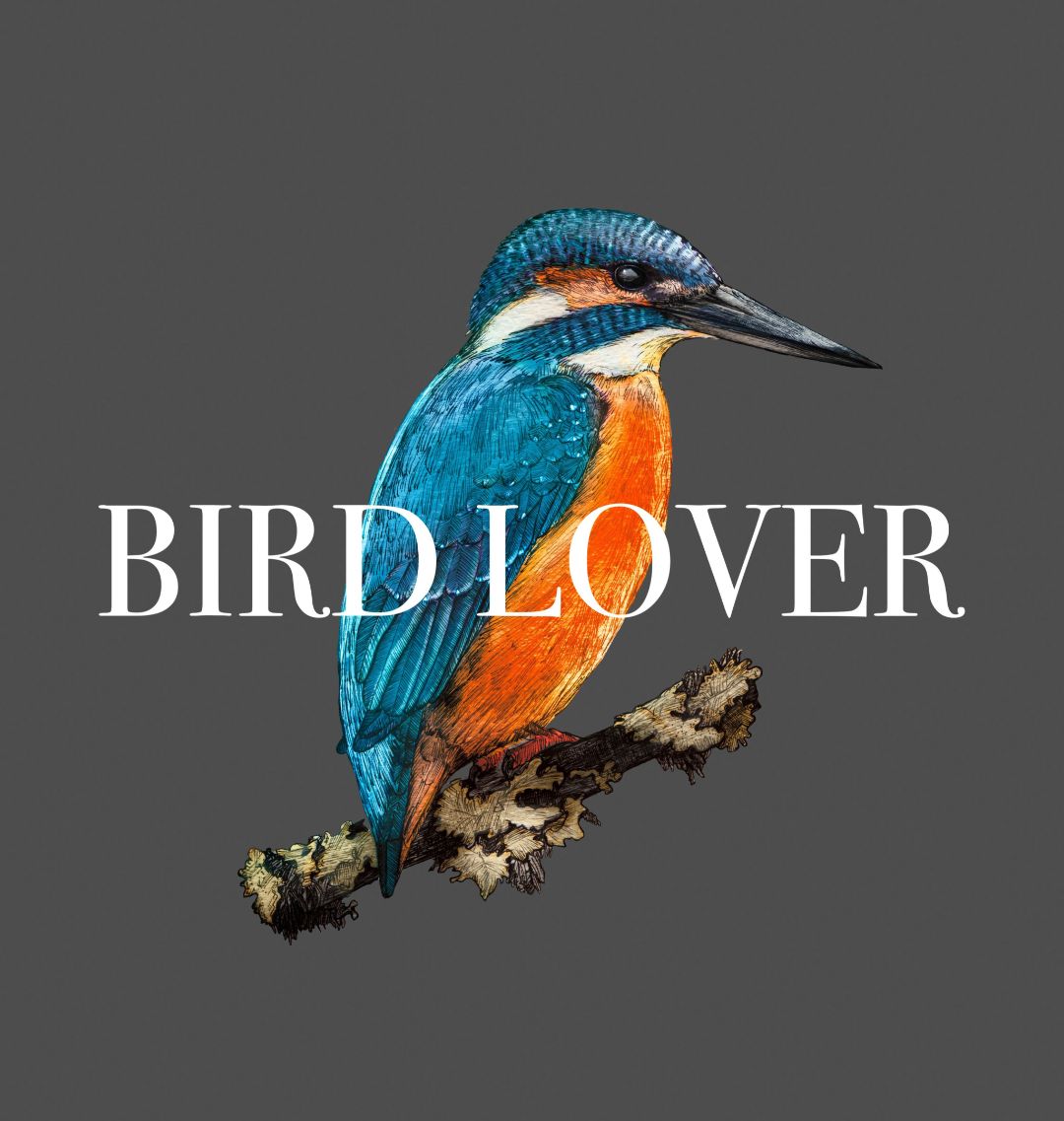 Buy Kingfisher 200 LARGE FREEZER BAGS ON ROLL FOR CATERING & KITCHEN FOOD,  FRIDGE FRESH Online at desertcartINDIA