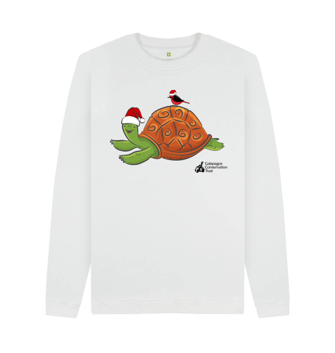 Turtles on sale christmas jumper