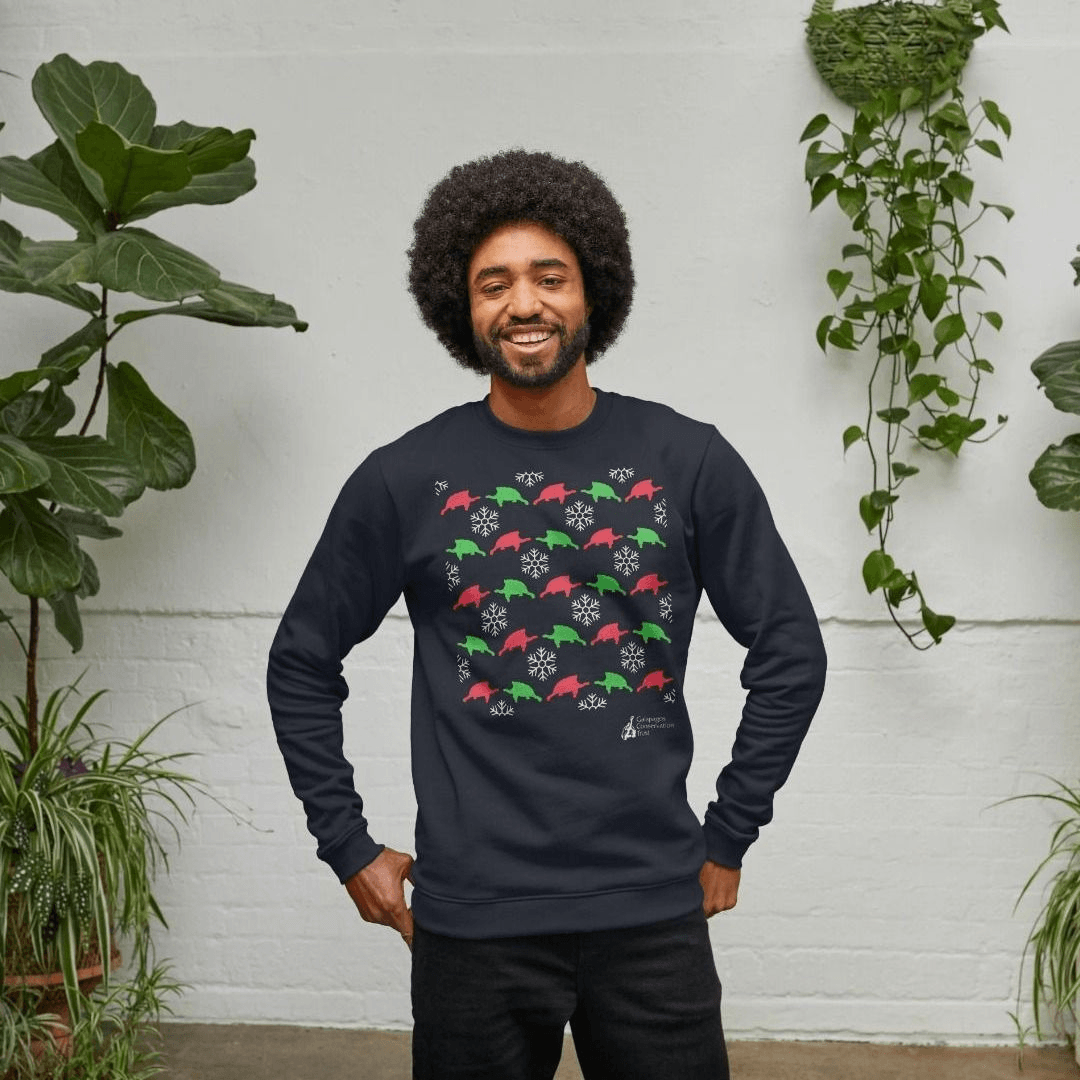 His Hers Saddleback Tortoise Christmas Jumpers