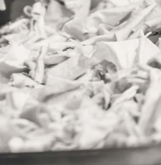 the recovered organic material is processed