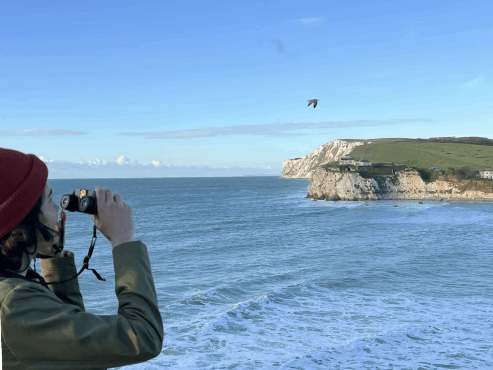 Great British Birdwatch: We're joining the flock