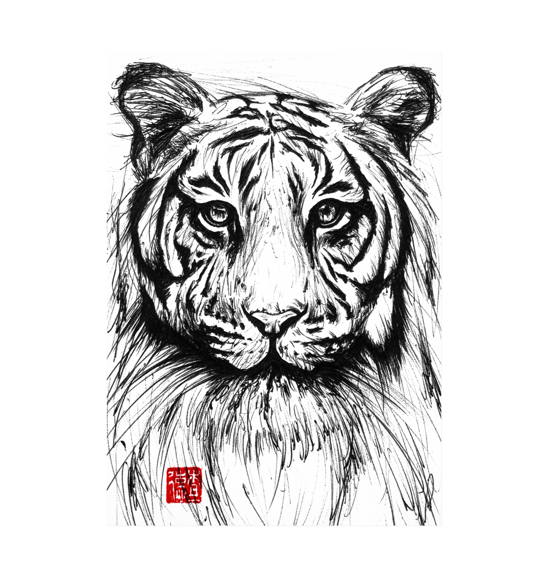 Tiger Pencil Drawing Canvas Print