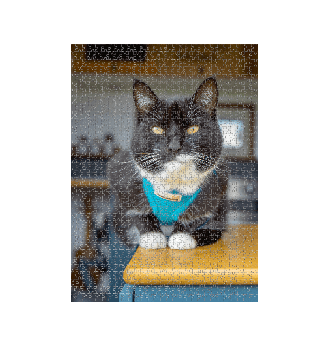Summer the cat jigsaw puzzle