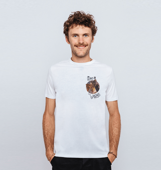 wind in the willows t shirt