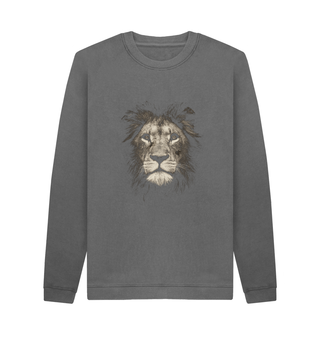 Lion jumpers outlet