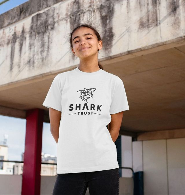 Kids 5th Birthday Boy Shark Shirts 5 Jaw Some Four Tees Boys 5 Years Old  Youth Long Sleeve