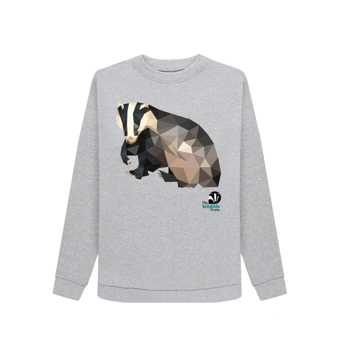 Badger sweater on sale