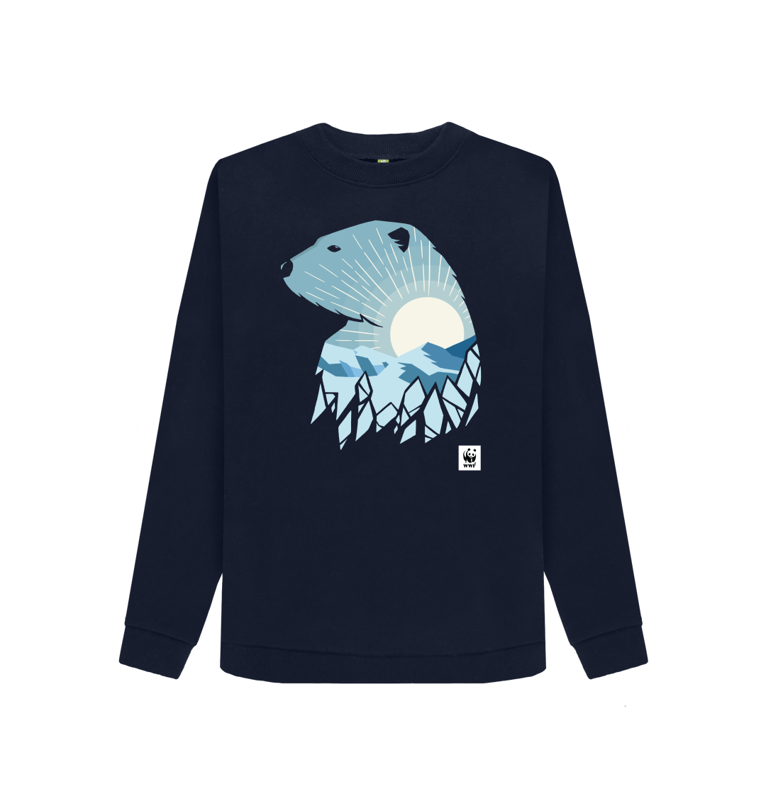 Polar 2024 bear jumper