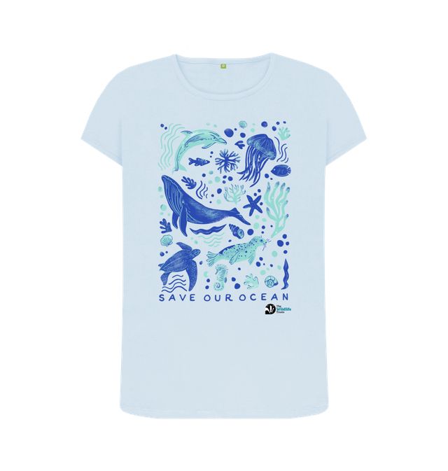 Youth-Woodland Box Turtle T-Shirt — Blue Ridge Wildlife Center