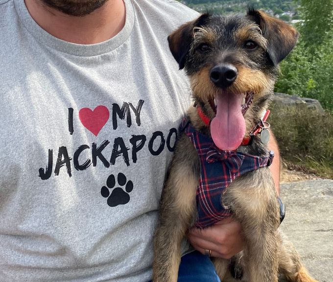 What is a Jackapoo?