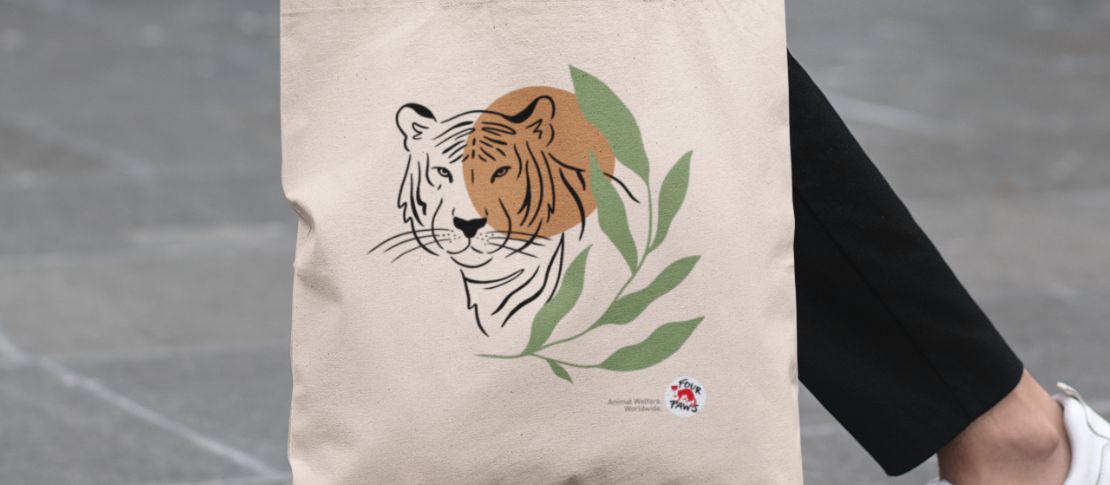 Four paws accessories Clearance