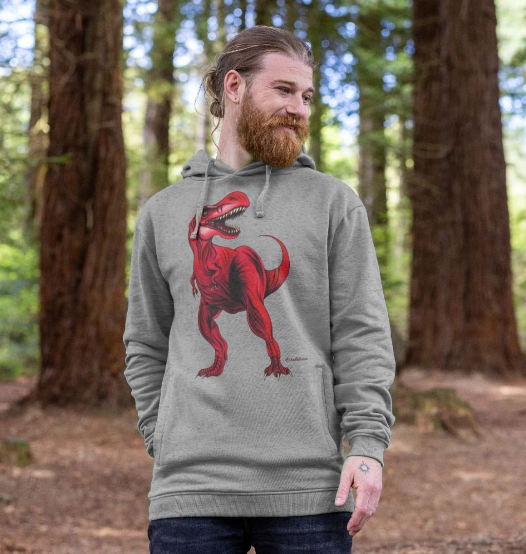 Hoodie dinosaur hotsell