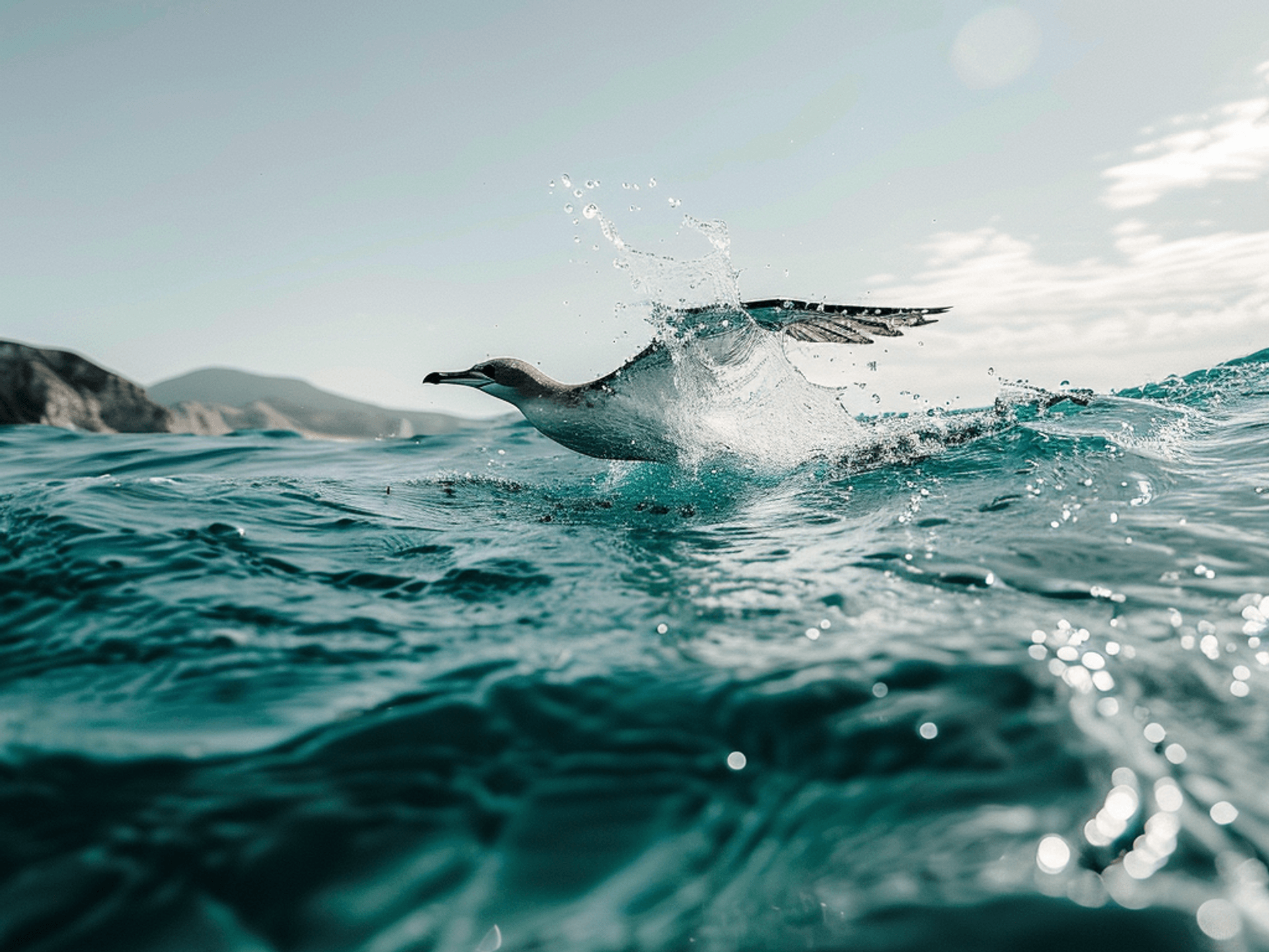 Threadfin Men's Organic Surf & Lifestyle Clothing Ride Waves Responsibly