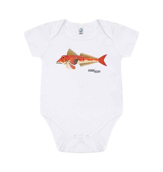 Organic Baby Clothes  Official Marine Conservation Shop